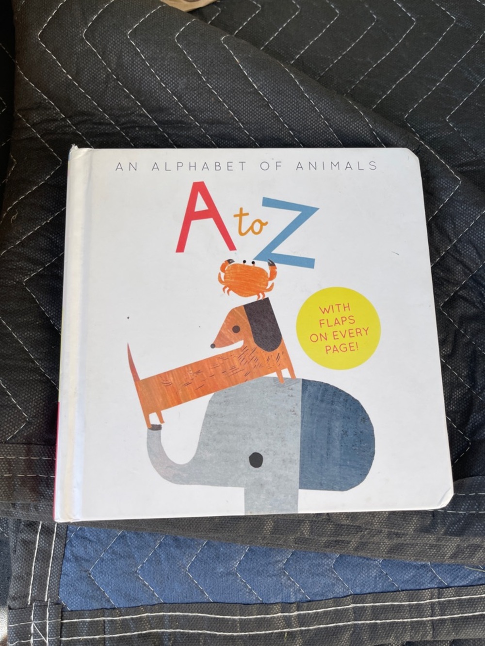 A to Z: An Alphabet of Animals Board Book - White, Orange, Blue